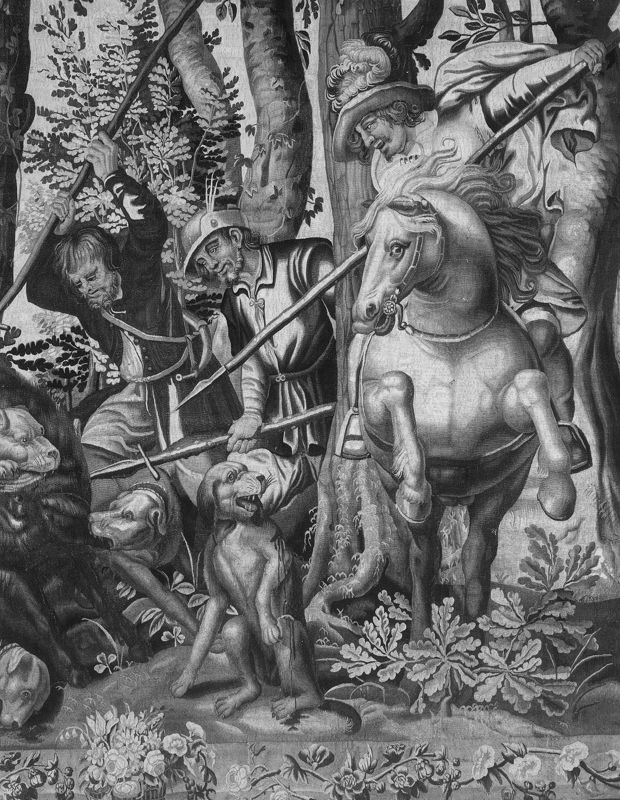 Chasse au sanglier