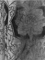 B216623