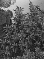 B216803