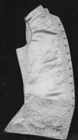 B216833