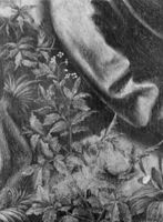 B216871