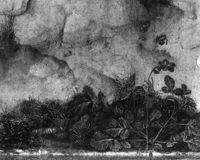 B217208