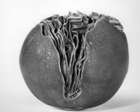 B217389