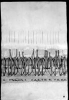 B217392