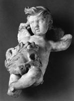 B217980