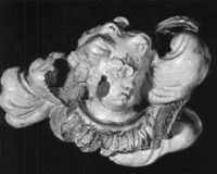 B218373
