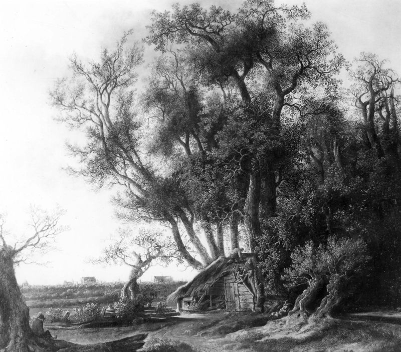 Lanschap