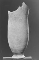 B223728