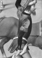 B223883