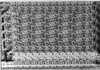B223936