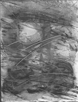 B223961