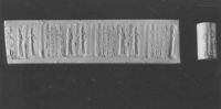 B224164
