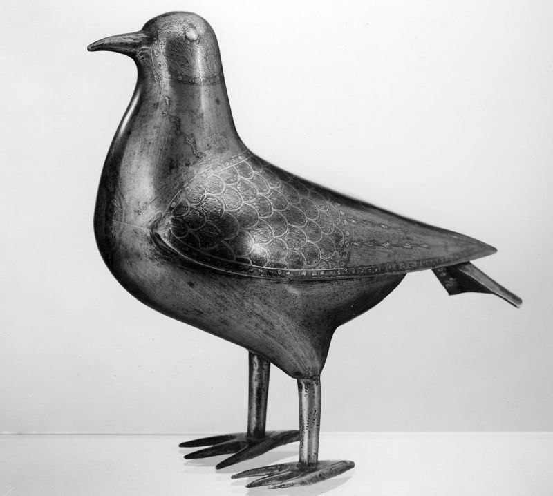 Pigeon