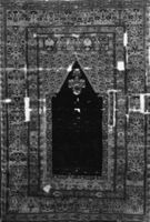 B224459