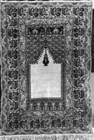 B224466