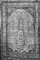B224470