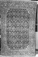 B224474