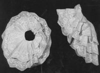 B224493