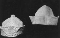B224494