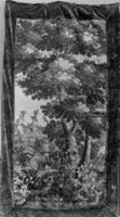 B224641