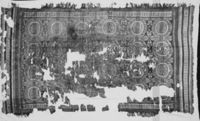 B224975