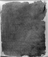 B225496