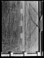 B225765