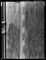 B225766
