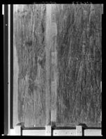 B225767