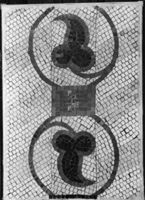 B225896