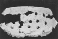 B226256