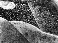 B226565