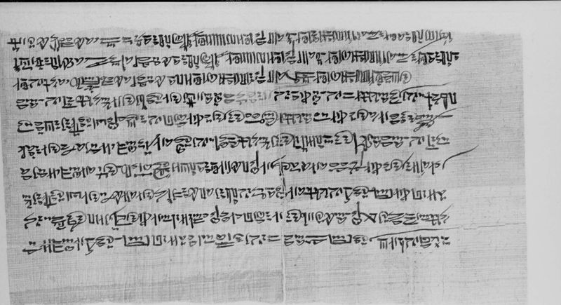 papyrus[objet] / Musées royaux d'Art et d'Histoire (Bruxelles)