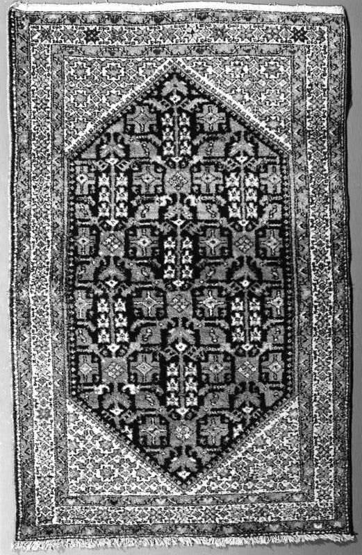 tapis de sol / Musées royaux des Beaux-Arts de Belgique