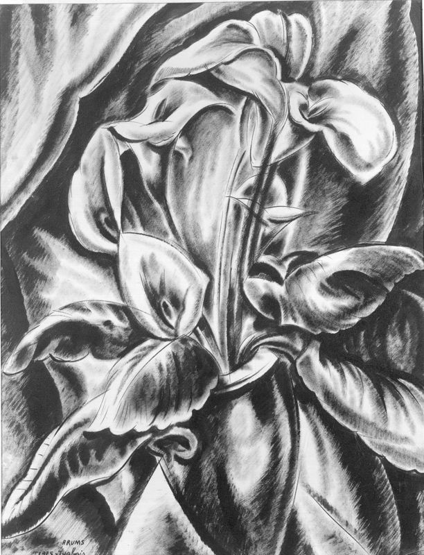 Arums