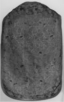 B227851