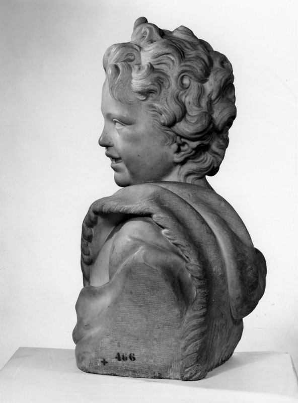 Jeune faune