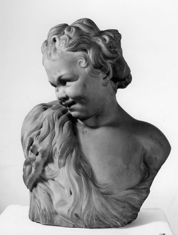 Jeune faune