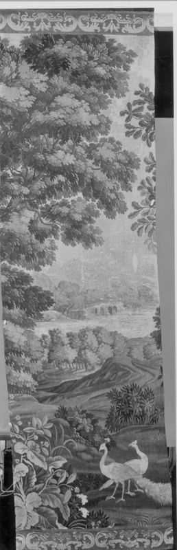 Paysage avec paons