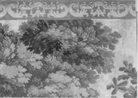 B228243