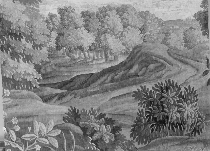 Paysage avec paons