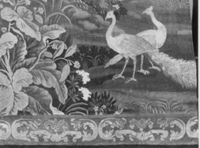 B228247