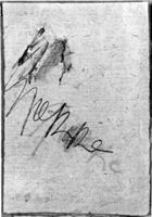 B228466
