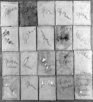 B228481