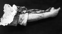 B229047