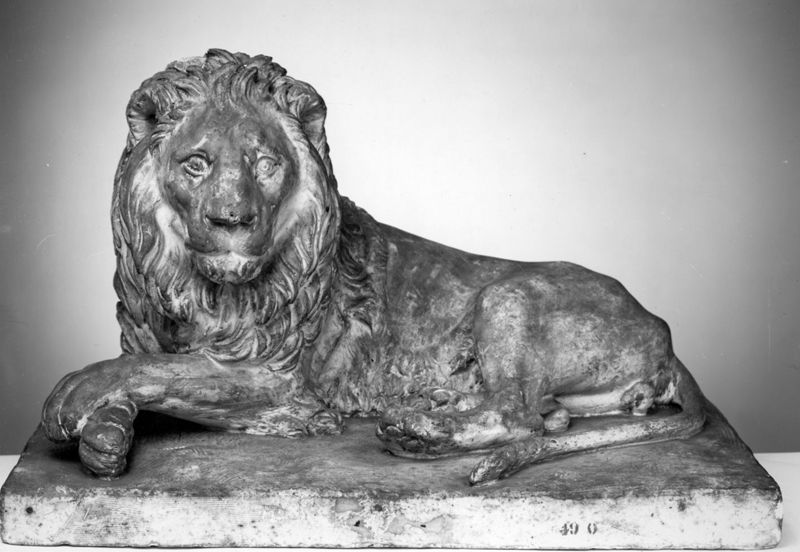 Lion couché