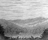 B230099