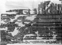 B230436