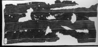 B230440