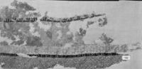 B230468